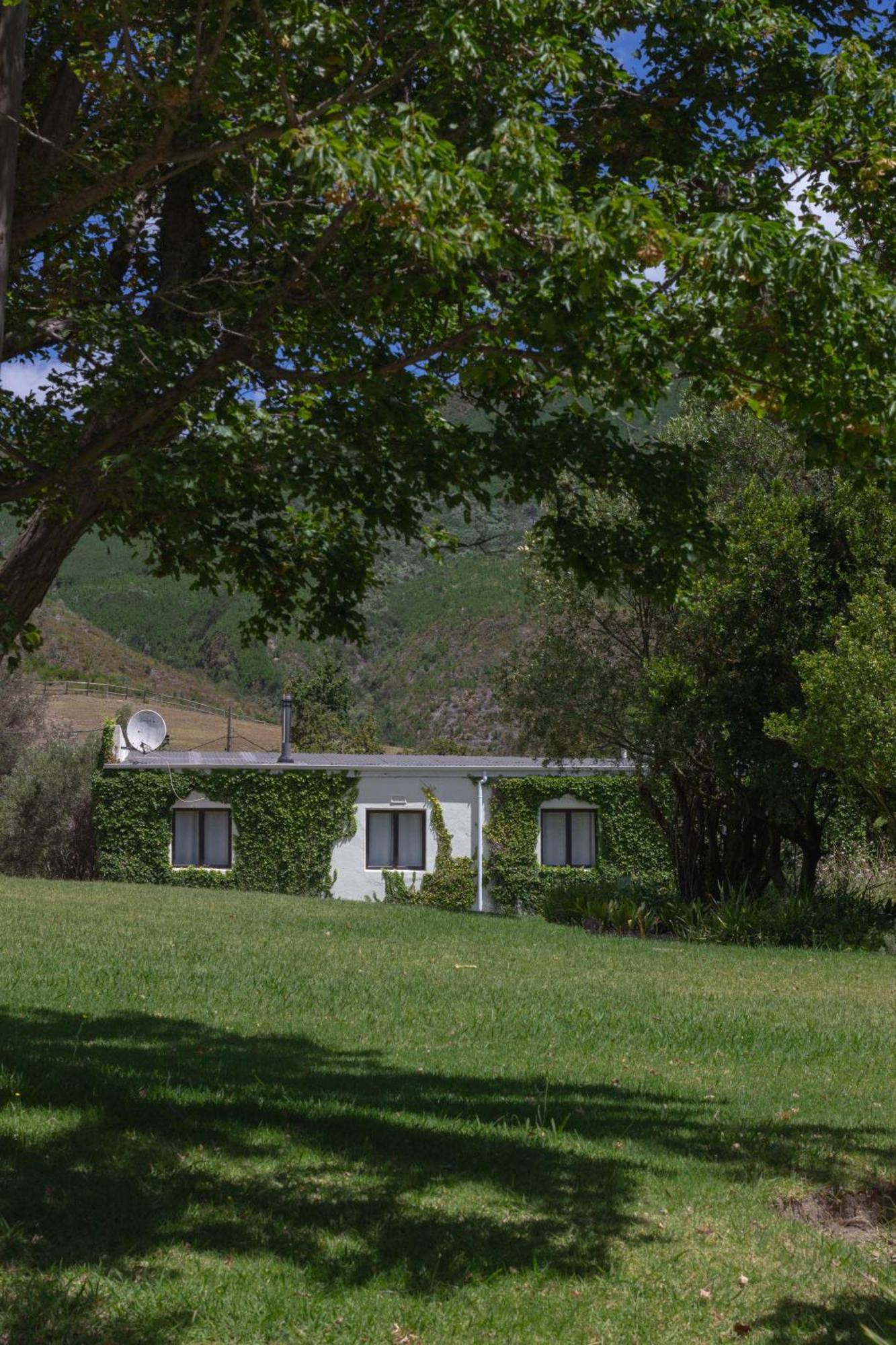 Three Streams Cottage Franschhoek Buitenkant foto