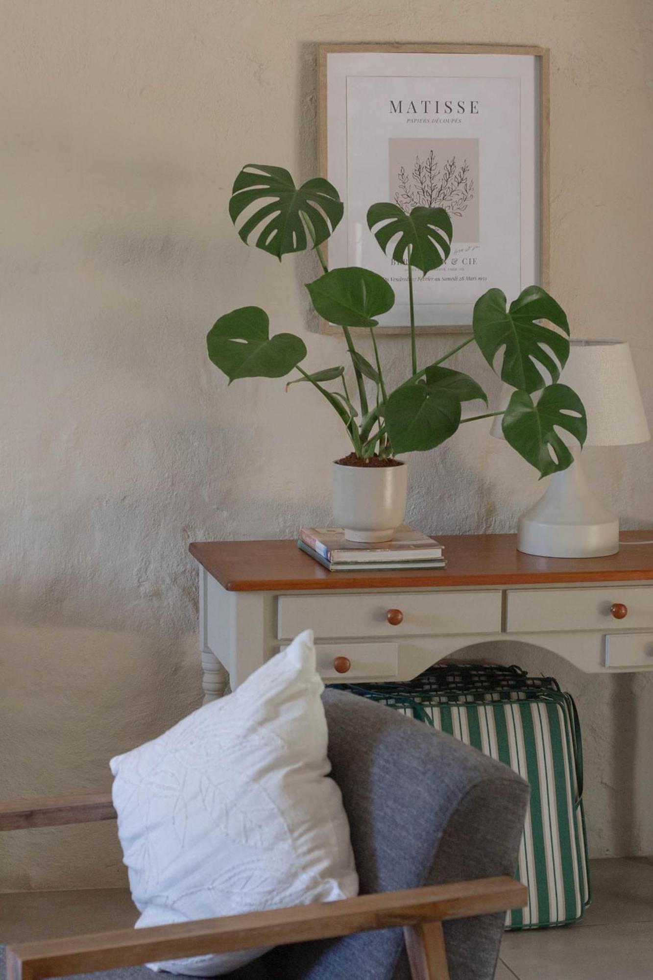 Three Streams Cottage Franschhoek Buitenkant foto
